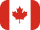 flag icon