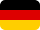 flag icon