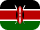 flag icon