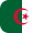 flag icon