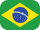 flag icon