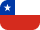 flag icon