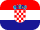 flag icon