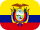flag icon