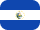 flag icon