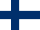 flag icon