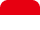 flag icon