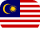 flag icon