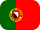 flag icon