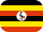 flag icon