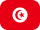 flag icon